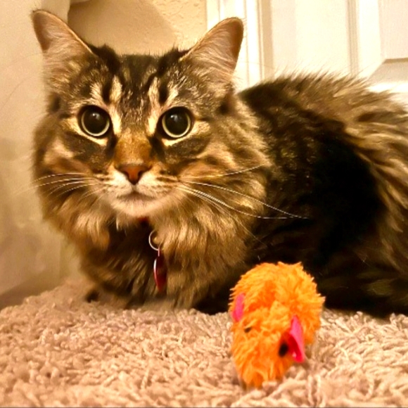 Liz's Share Show - Picture 6 of 17